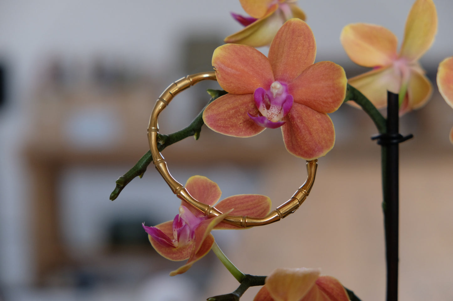 Bracciale BAMBOO